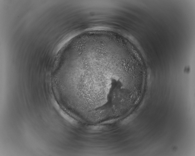 X0000112211425200908211508