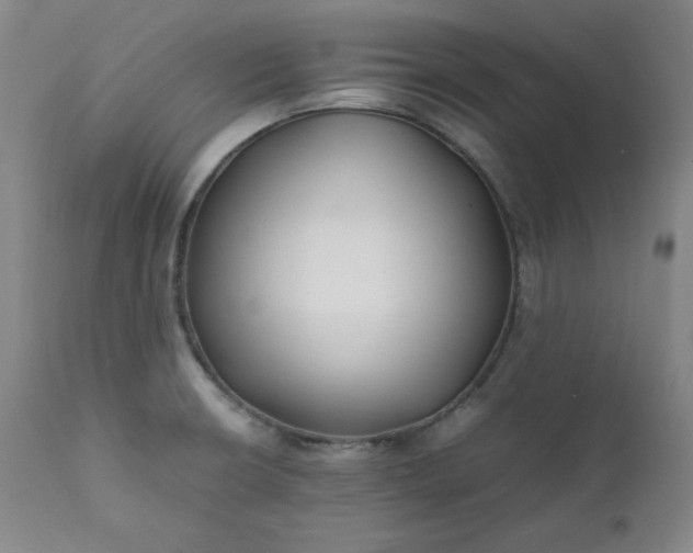 X0000112211426200908211508