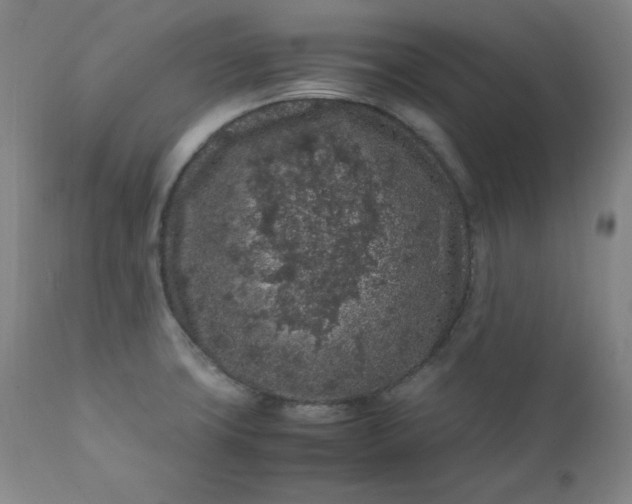 X0000112211427200908211508