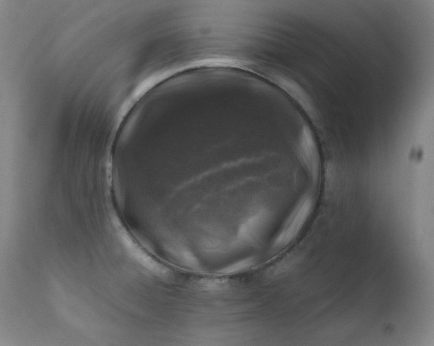 X0000112211428200908211508