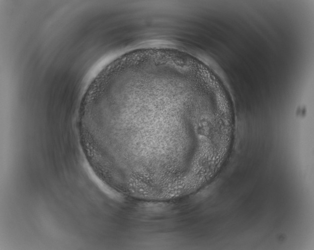 X0000112211429200908211508