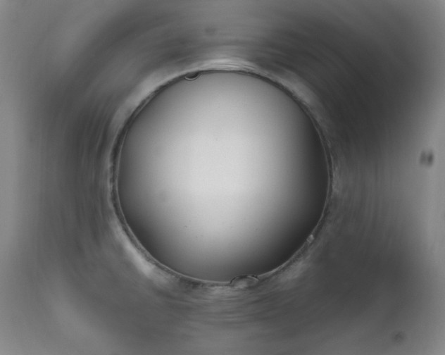 X0000112211430200908211508