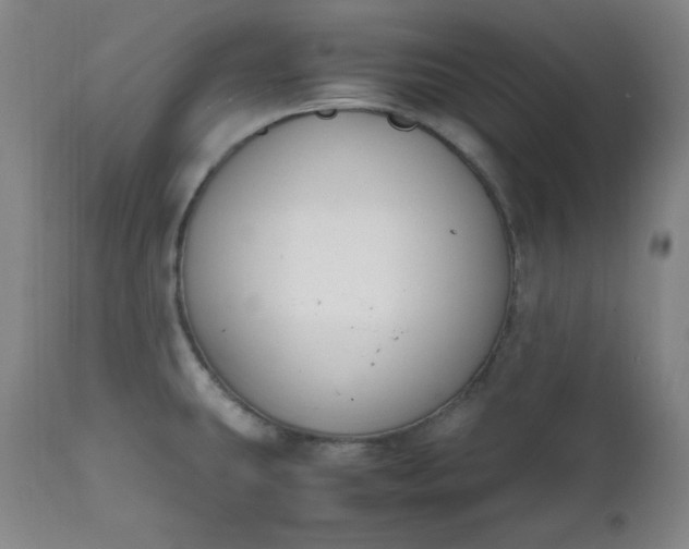 X0000112211431200908211508