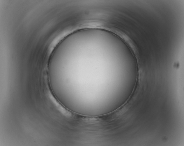 X0000112211432200908211508