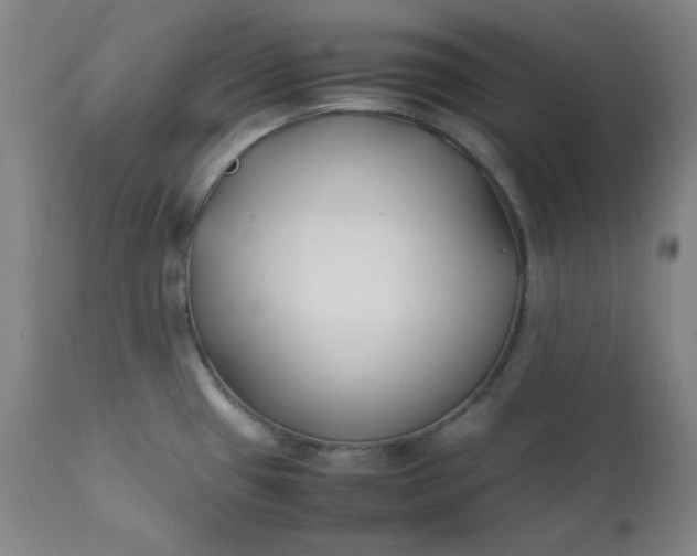 X0000112211433200908211508