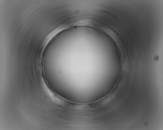 X0000112211434200908211508