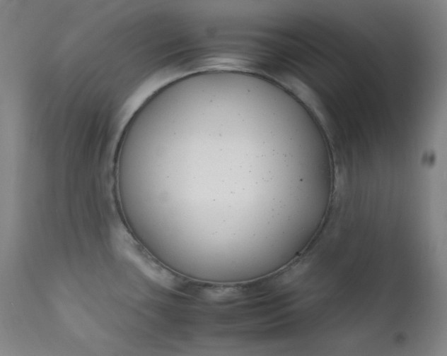 X0000112211435200908211508