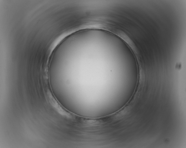 X0000112211436200908211508