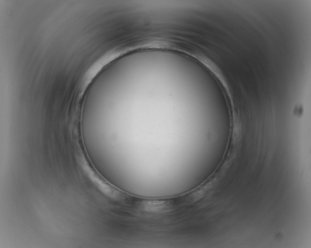 X0000112211437200908211508