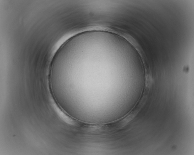 X0000112211438200908211508