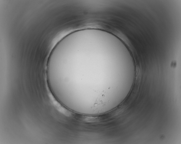 X0000112211439200908211508