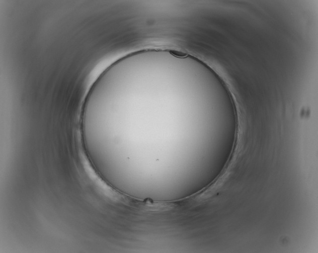 X0000112211440200908211508