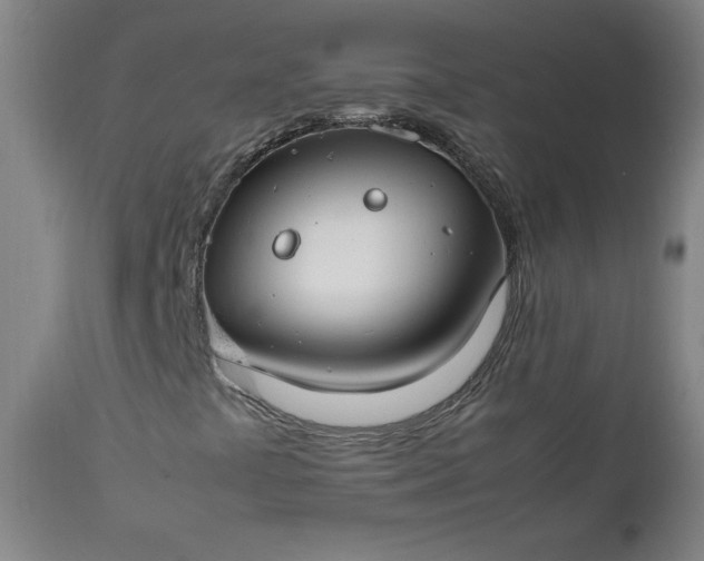 X0000112211441200908211507