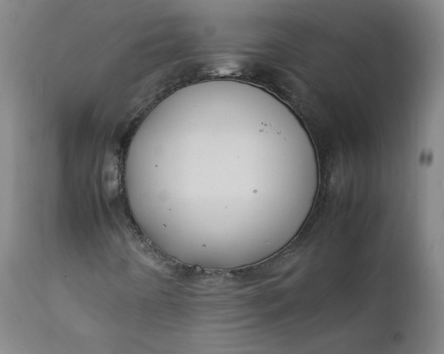 X0000112211442200908211507