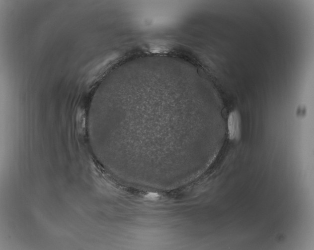 X0000112211443200908211507