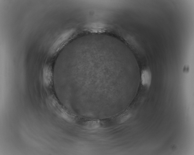 X0000112211444200908211507