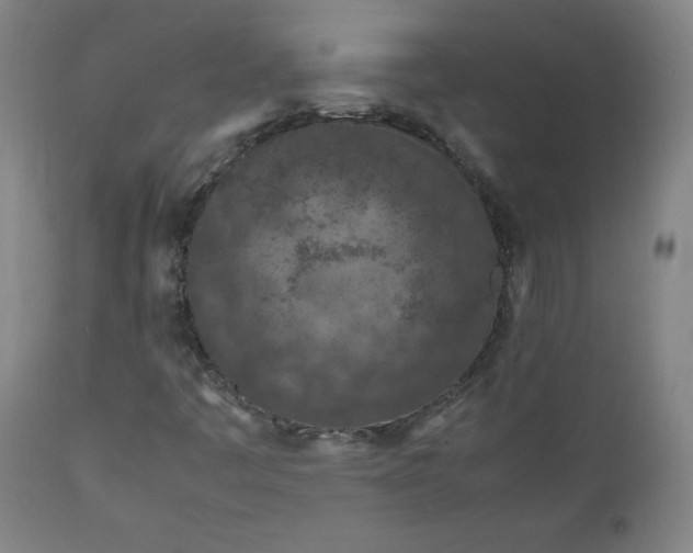 X0000112211445200908211507