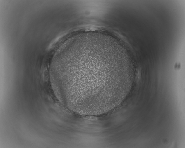 X0000112211446200908211507