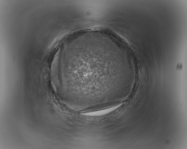 X0000112211447200908211507