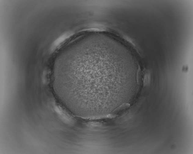 X0000112211448200908211507