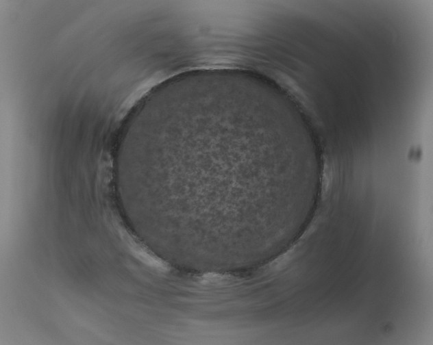 X0000112211449200908211507