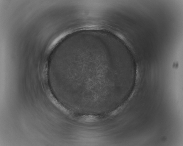 X0000112211450200908211507