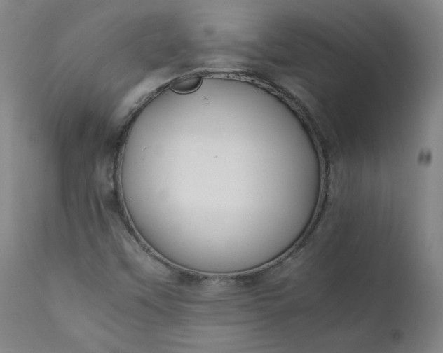 X0000112211451200908211507