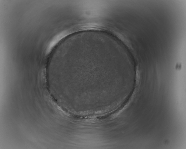 X0000112211453200908211507