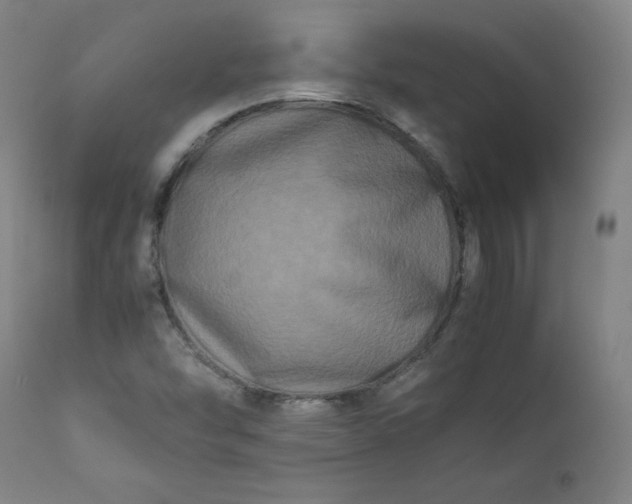 X0000112211454200908211507