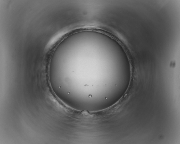 X0000112211456200908211507