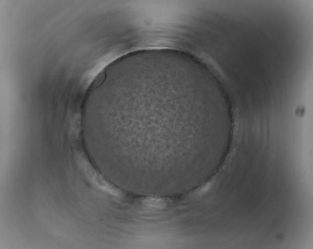 X0000112211457200908211507