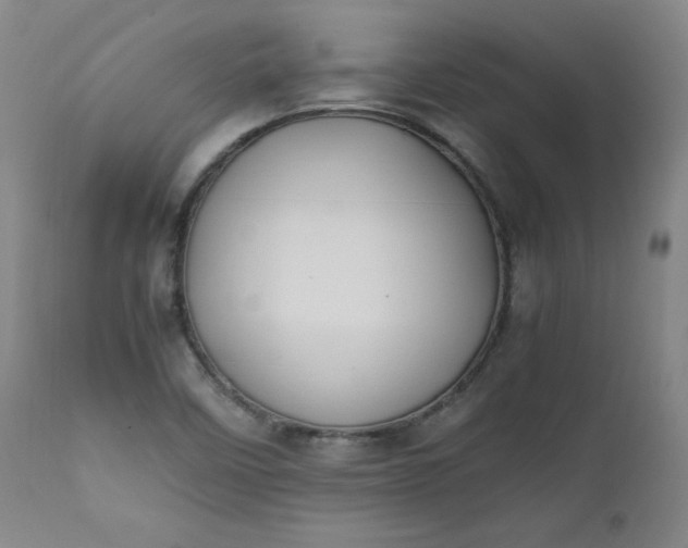 X0000112211458200908211507