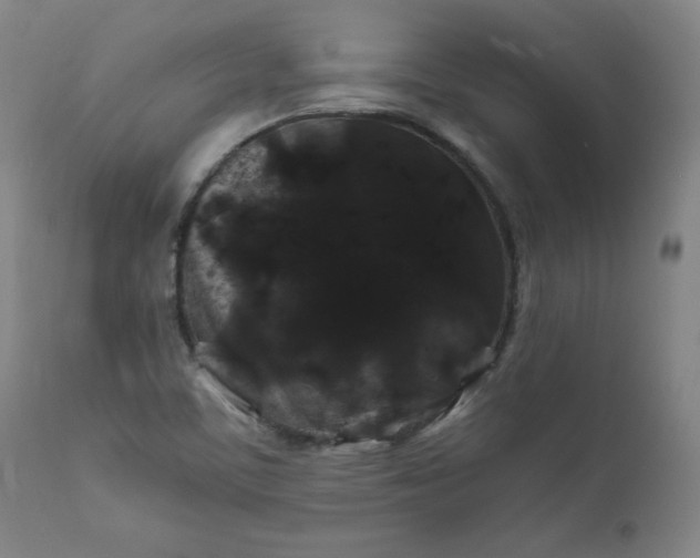 X0000112211459200908211507