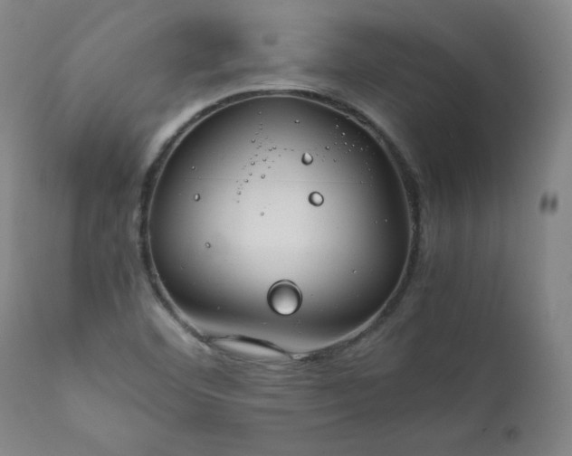 X0000112211460200908211507