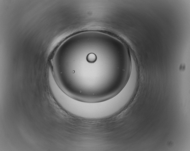 X0000112211461200908211507