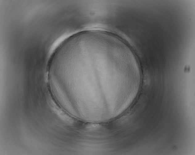 X0000112211462200908211507