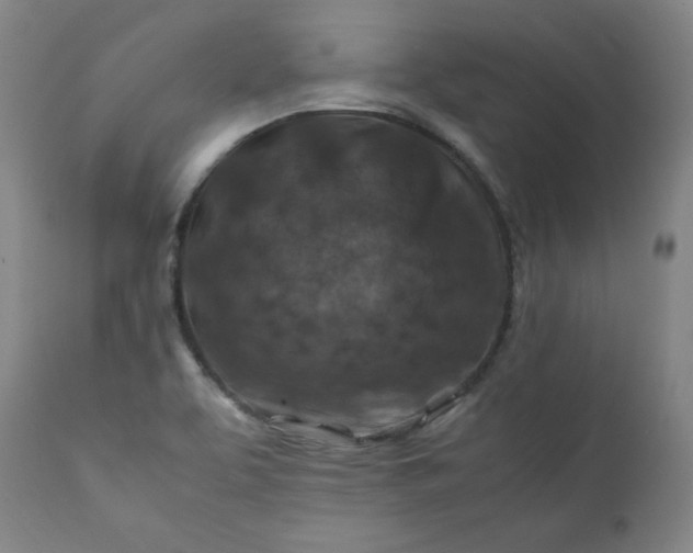 X0000112211463200908211507