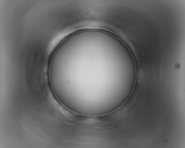 X0000112211464200908211507