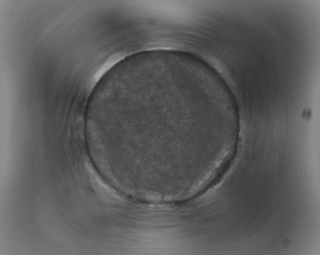 X0000112211465200908211507