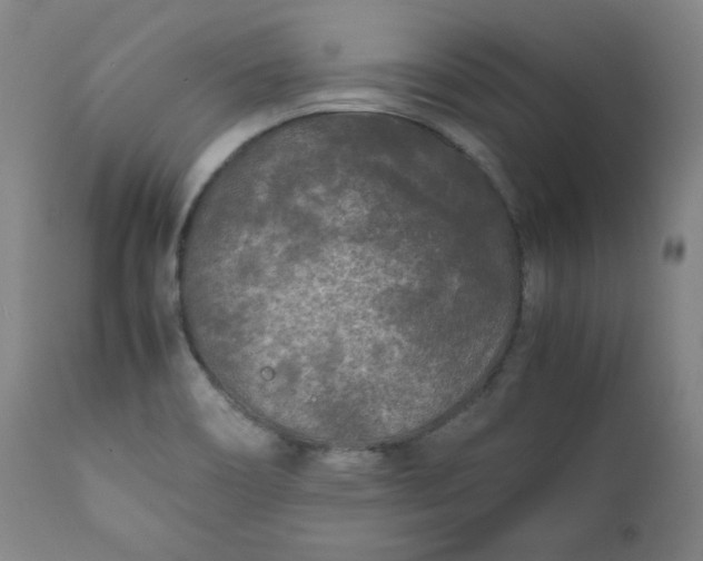 X0000112211466200908211507