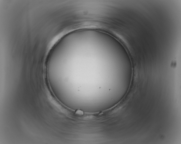 X0000112211467200908211507