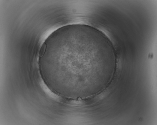 X0000112211468200908211507