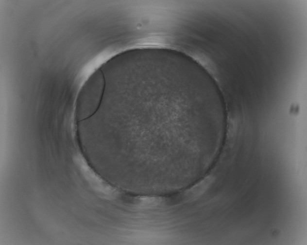 X0000112211469200908211507