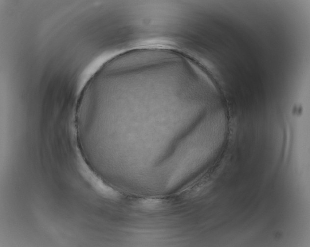 X0000112211470200908211507