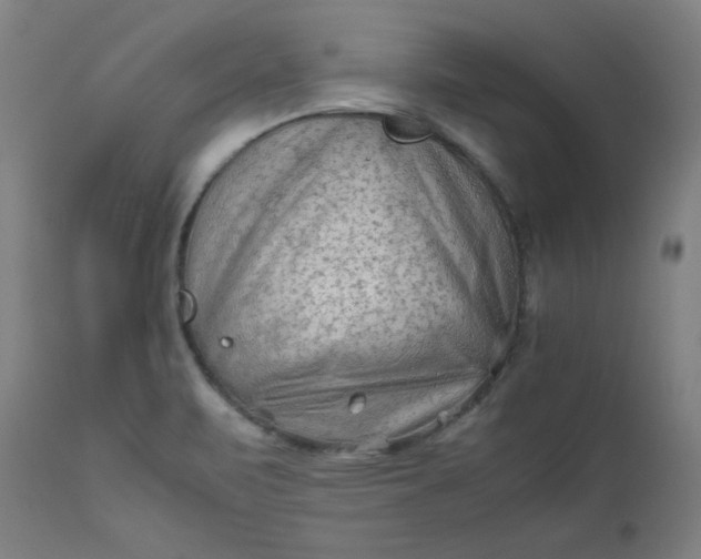 X0000112211471200908211507