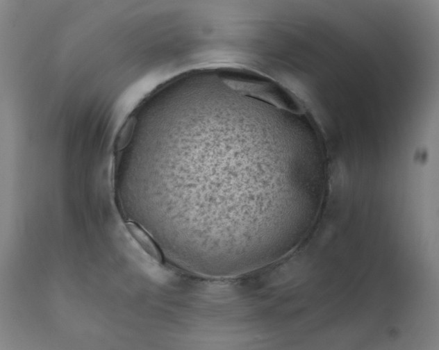 X0000112211472200908211507