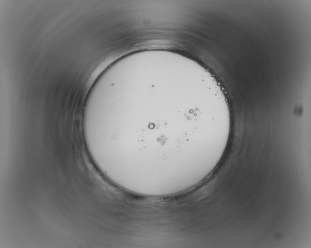 X0000112211473200908211507