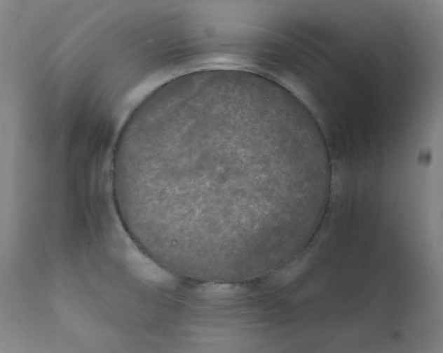 X0000112211474200908211507