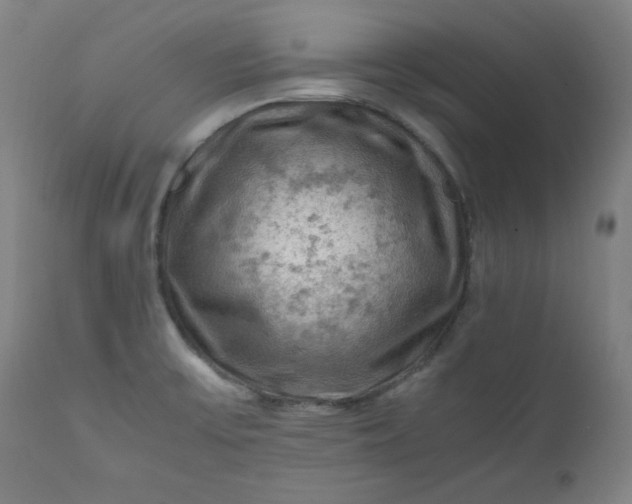 X0000112211475200908211507