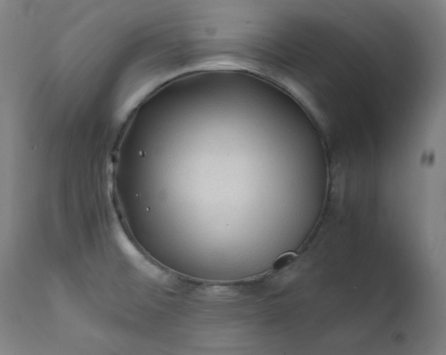 X0000112211476200908211507